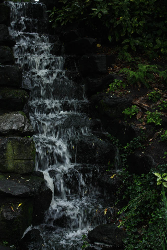 noorderdierenpark_159.jpg