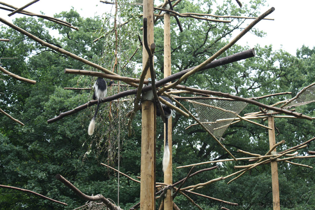 noorderdierenpark_163.jpg