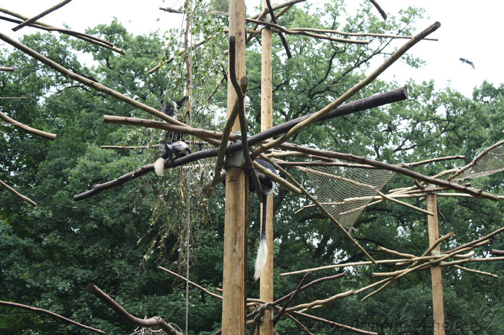 noorderdierenpark_164.jpg