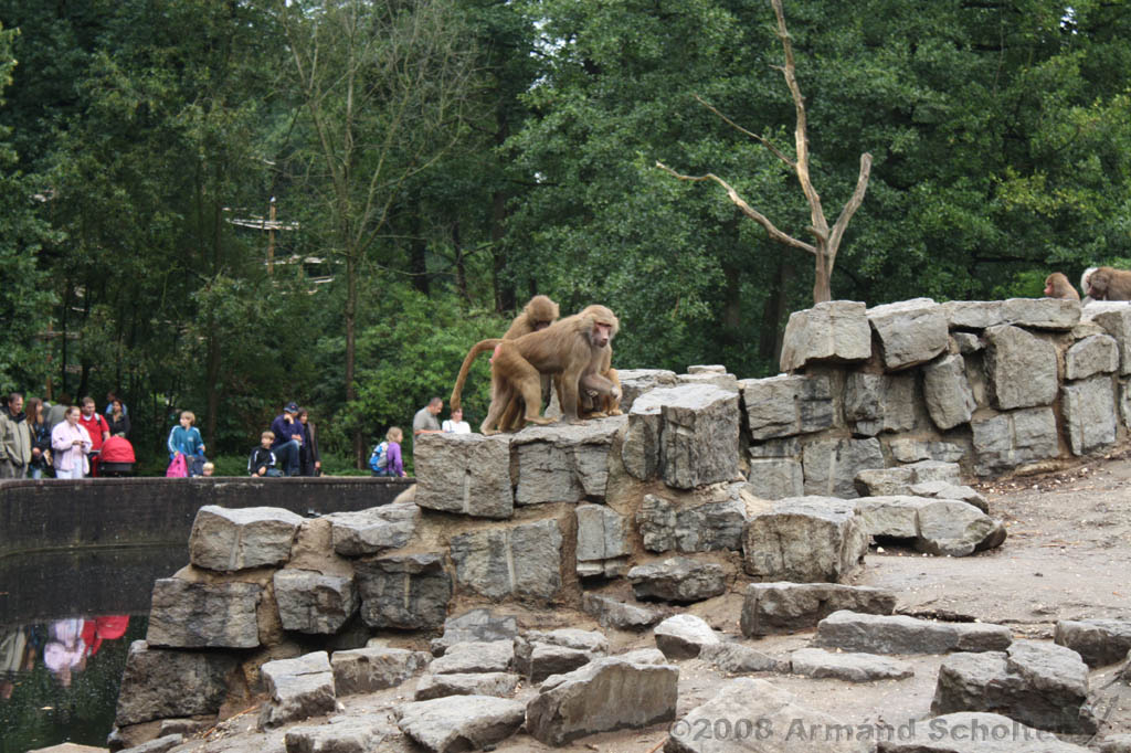 noorderdierenpark_169.jpg