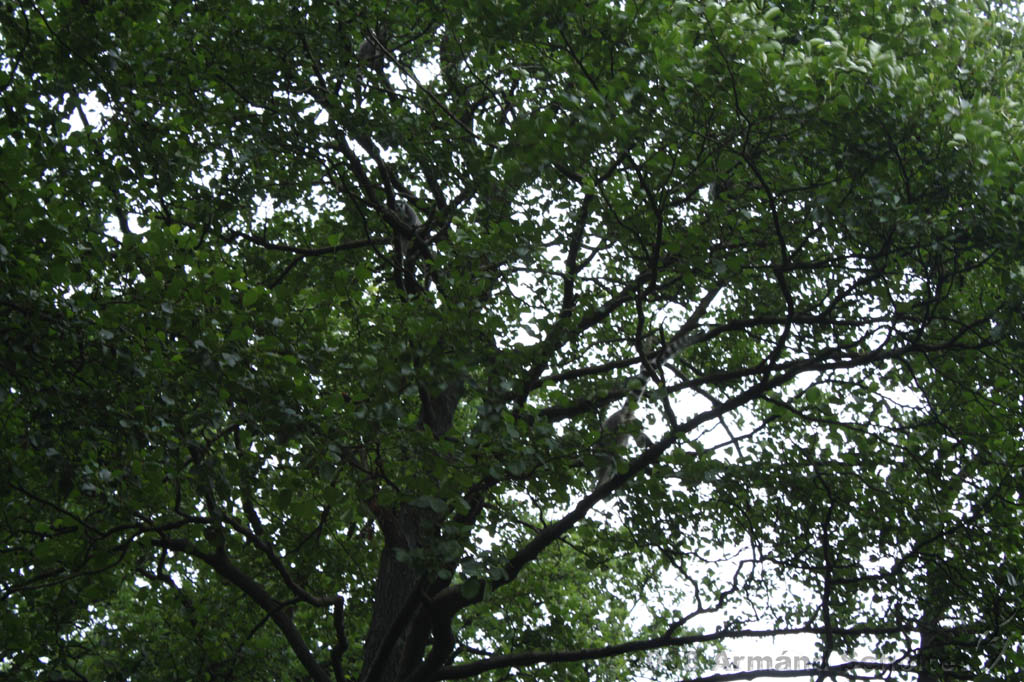 noorderdierenpark_171.jpg