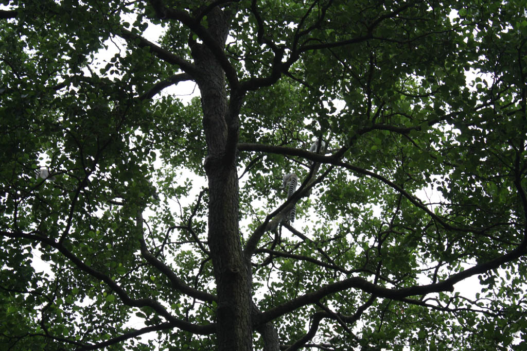 noorderdierenpark_173.jpg