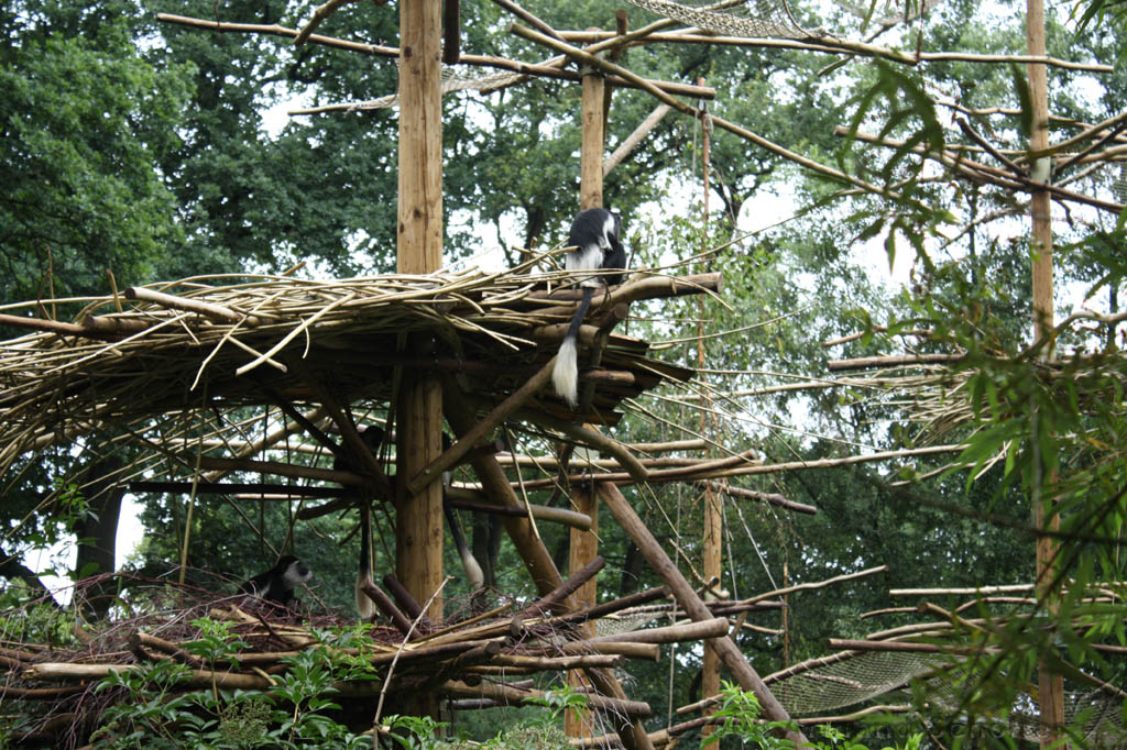 noorderdierenpark_174.jpg