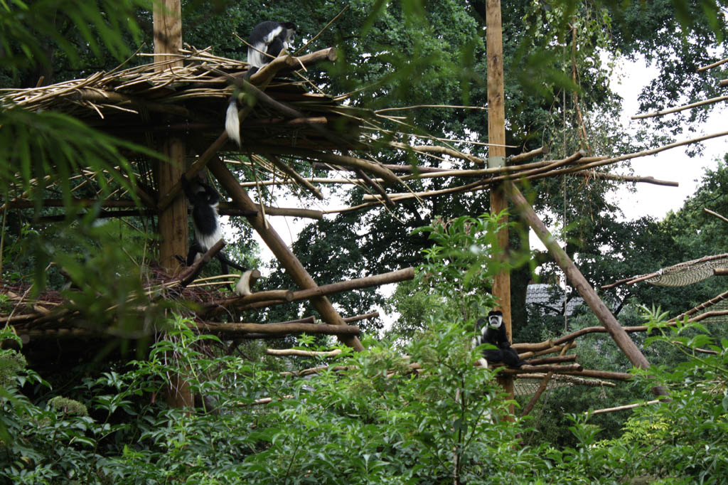 noorderdierenpark_175.jpg