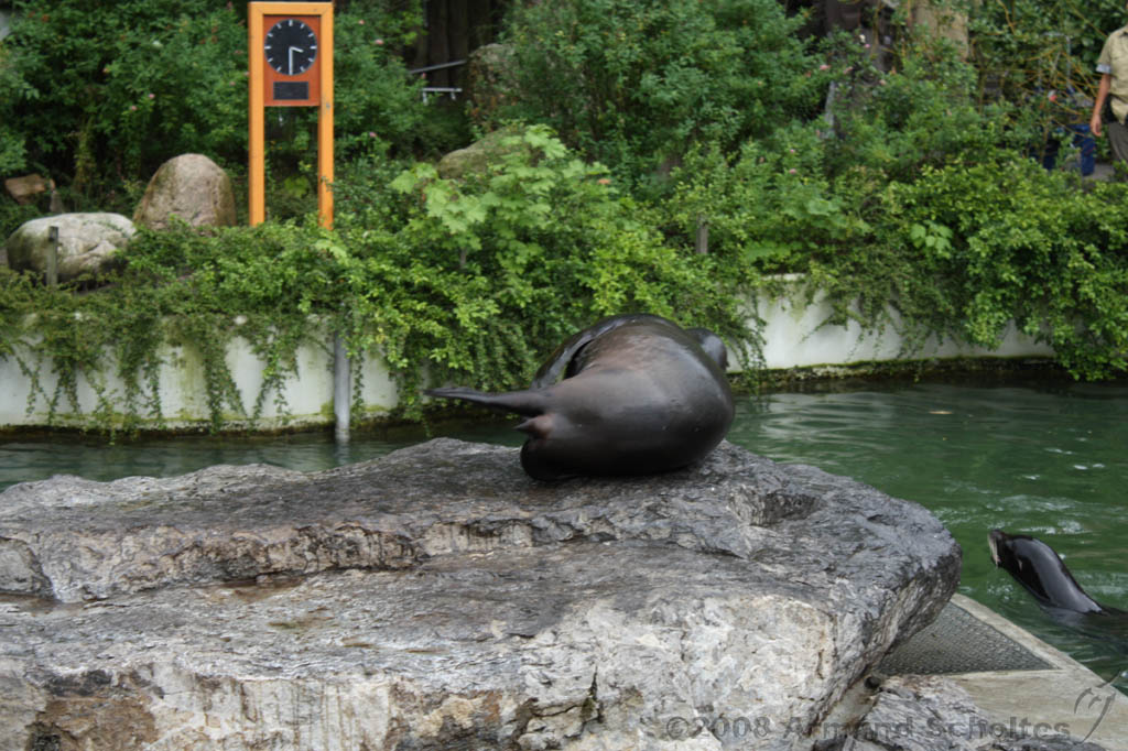 noorderdierenpark_178.jpg