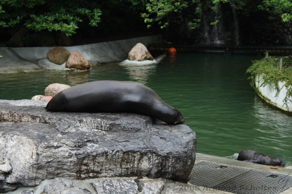 noorderdierenpark_179.jpg
