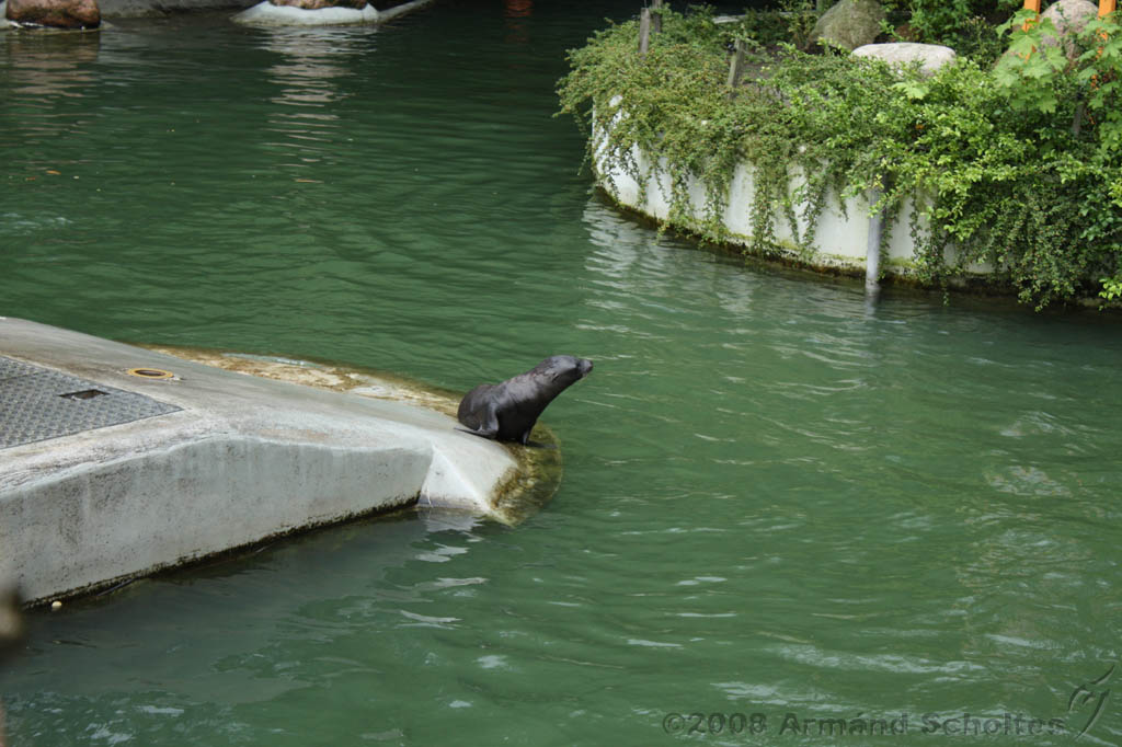 noorderdierenpark_180.jpg