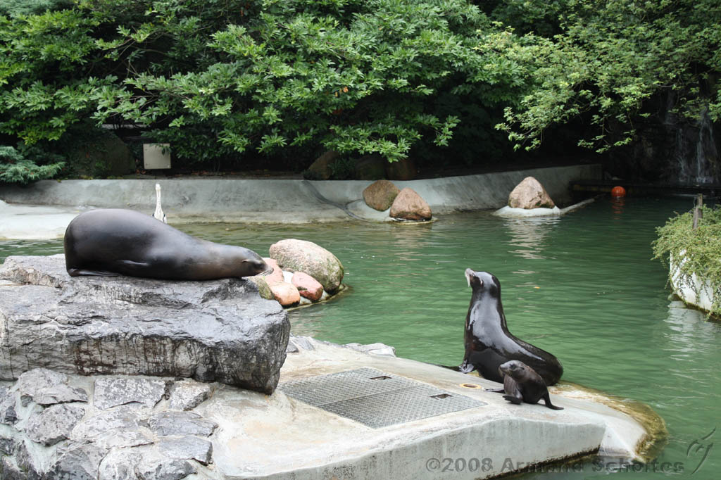 noorderdierenpark_182.jpg
