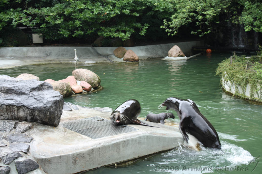 noorderdierenpark_183.jpg