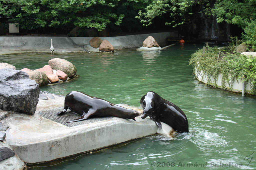 noorderdierenpark_184.jpg