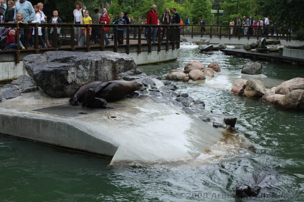 noorderdierenpark_186.jpg