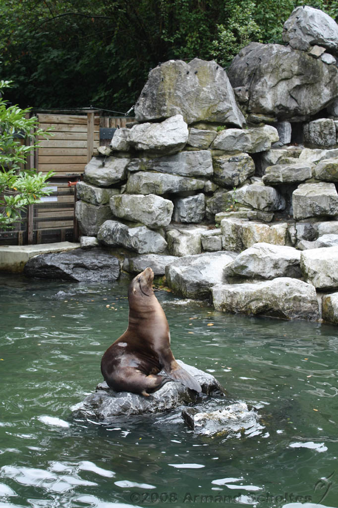 noorderdierenpark_187.jpg