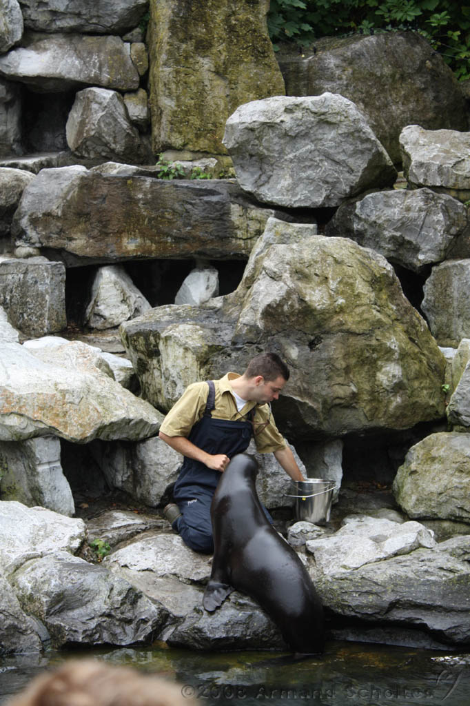 noorderdierenpark_189.jpg