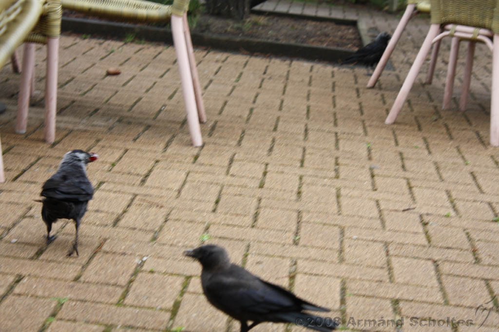 noorderdierenpark_193.jpg