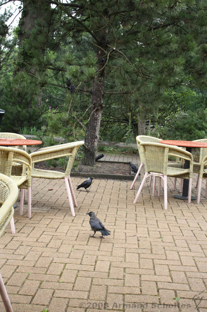 noorderdierenpark_195.jpg