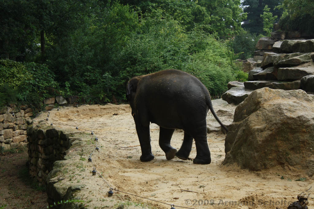 noorderdierenpark_196.jpg