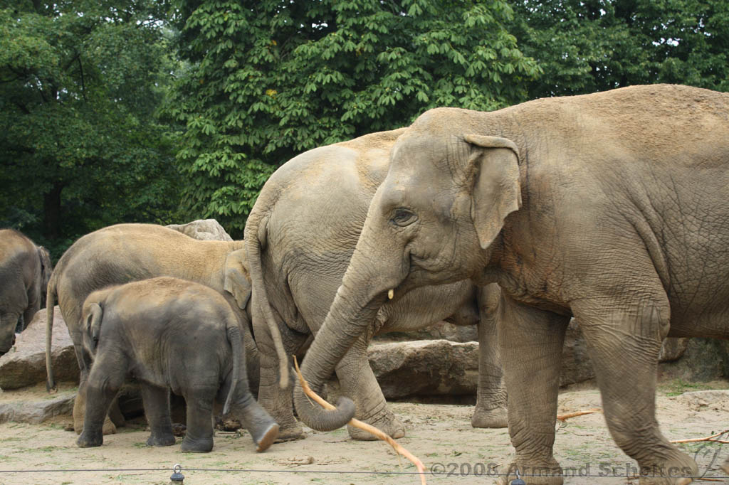 noorderdierenpark_197.jpg