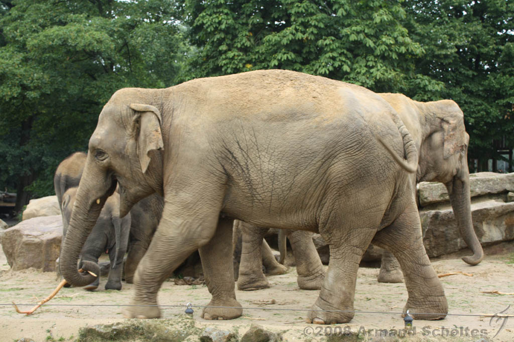 noorderdierenpark_198.jpg