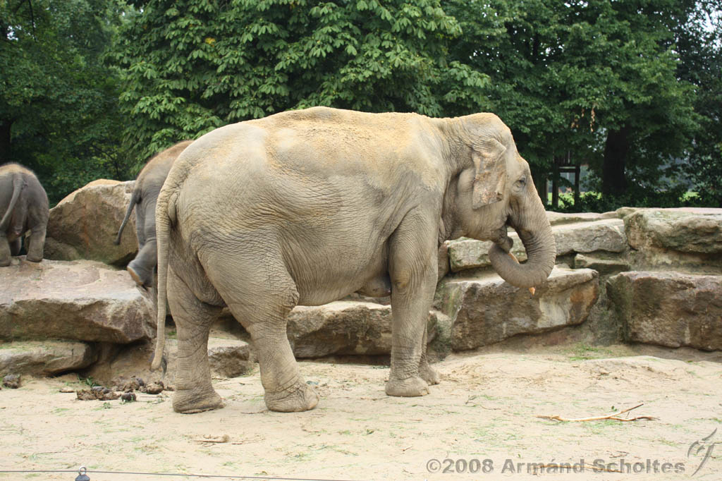 noorderdierenpark_199.jpg