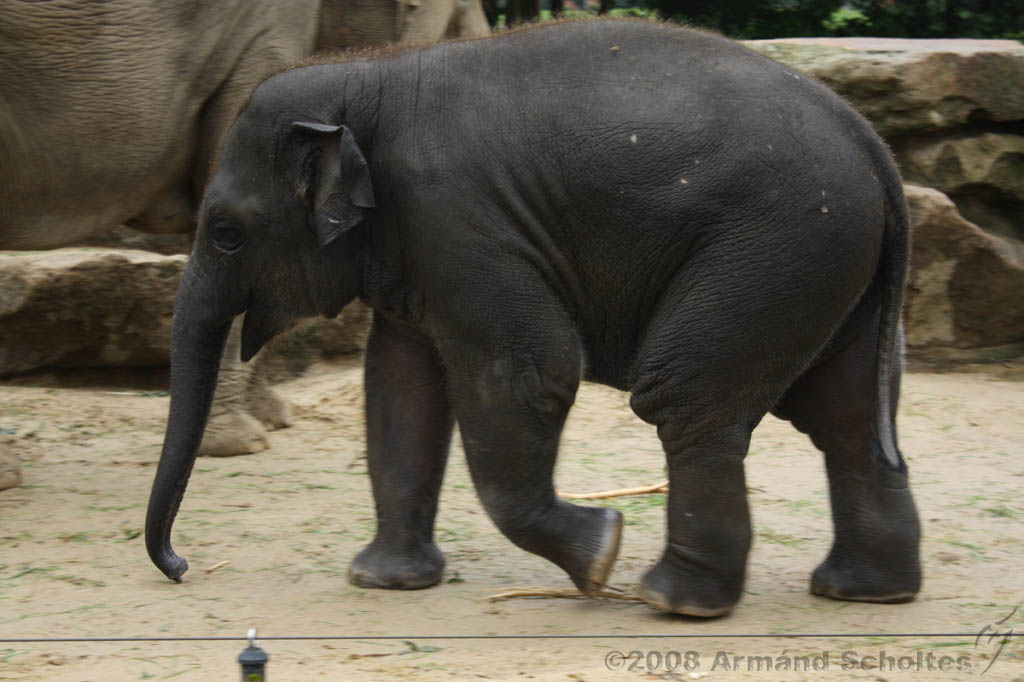 noorderdierenpark_200.jpg