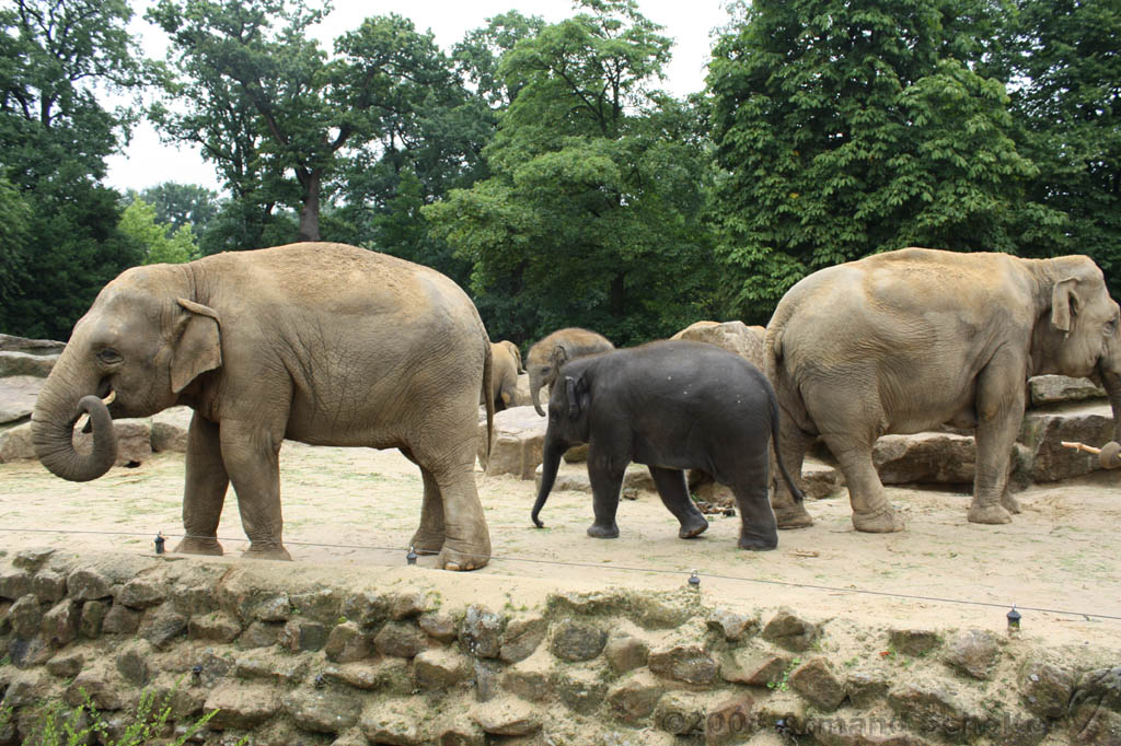 noorderdierenpark_201.jpg