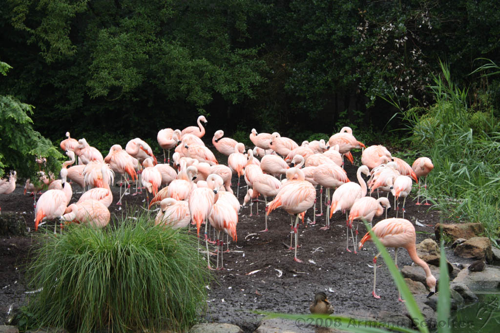 noorderdierenpark_203.jpg