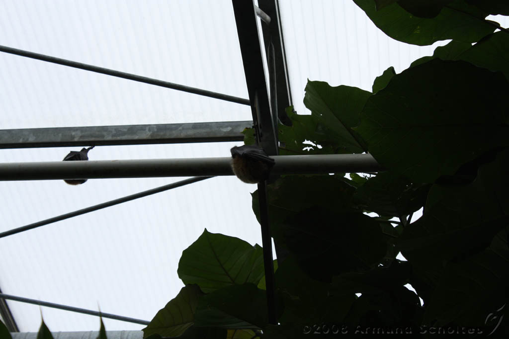 noorderdierenpark_204.jpg