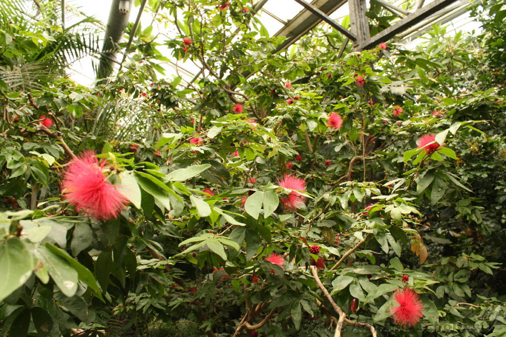 noorderdierenpark_209.jpg