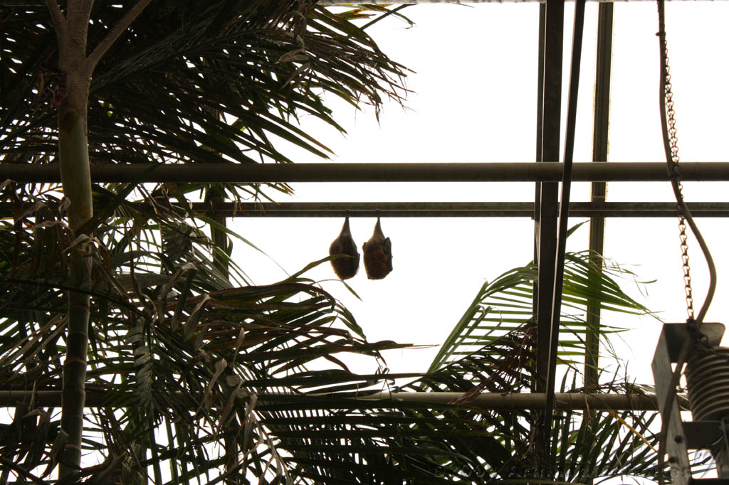 noorderdierenpark_212.jpg
