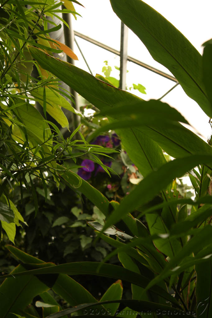 noorderdierenpark_214.jpg