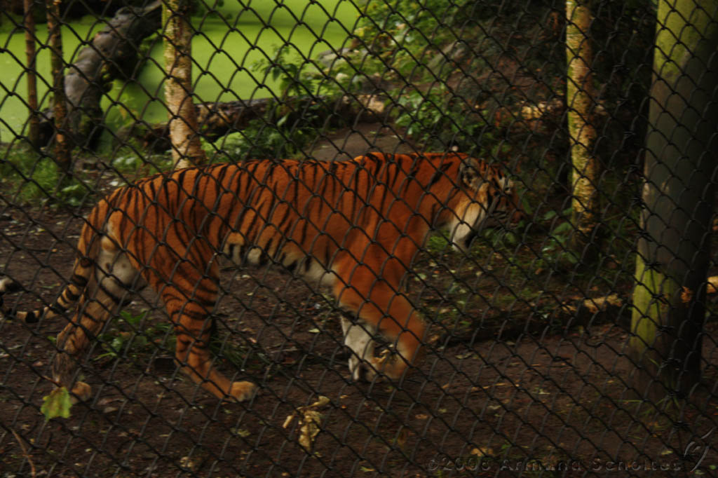 noorderdierenpark_220.jpg