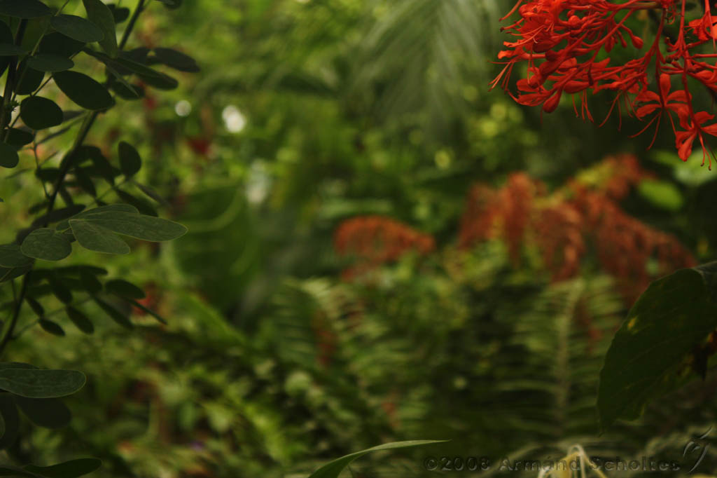 noorderdierenpark_229.jpg