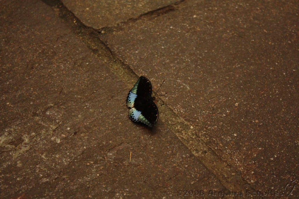 noorderdierenpark_231.jpg