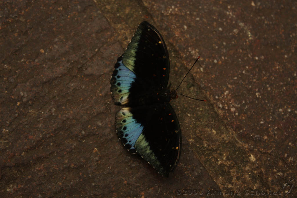 noorderdierenpark_232.jpg