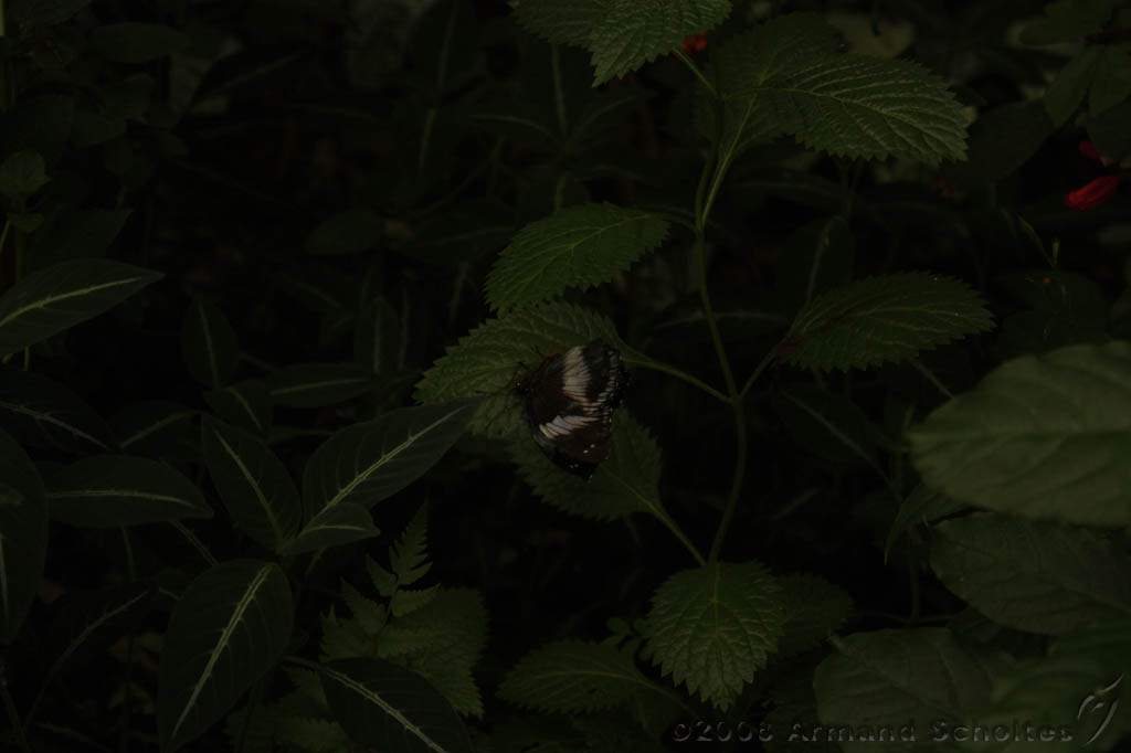noorderdierenpark_234.jpg