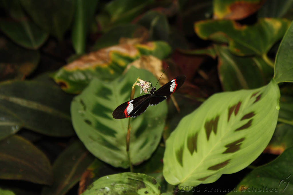 noorderdierenpark_237.jpg