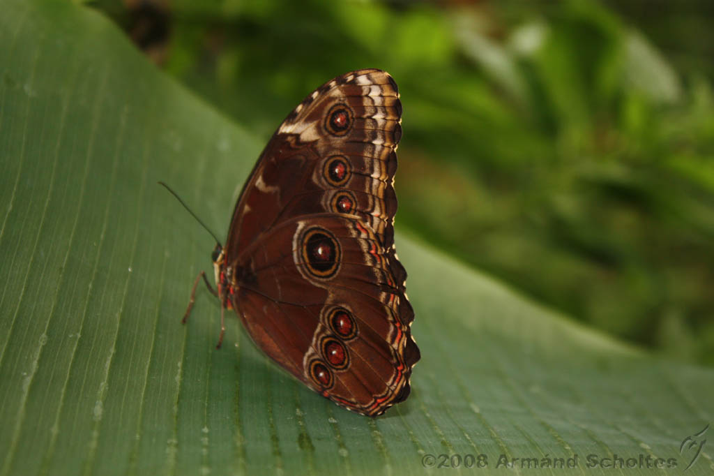 noorderdierenpark_243.jpg