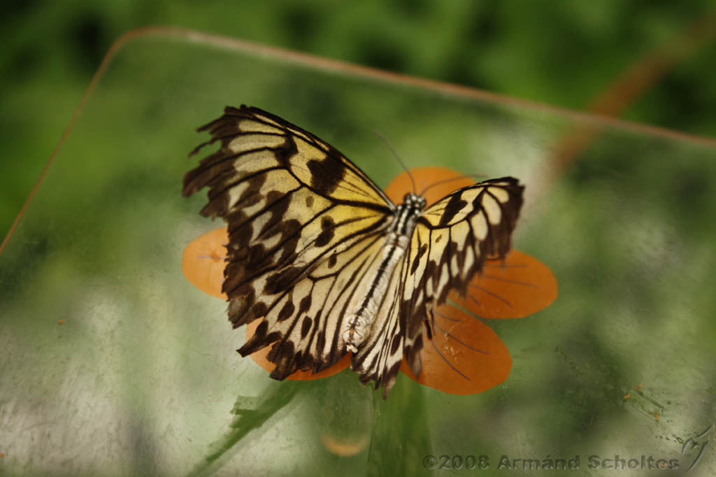 noorderdierenpark_244.jpg
