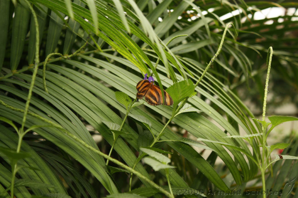 noorderdierenpark_245.jpg