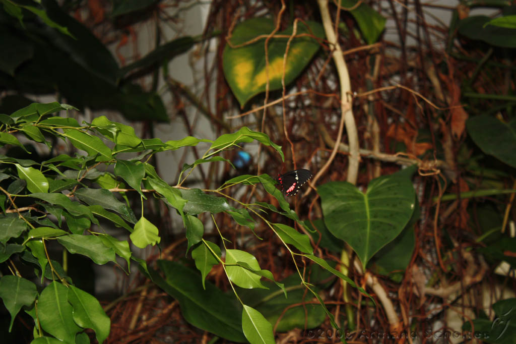 noorderdierenpark_249.jpg