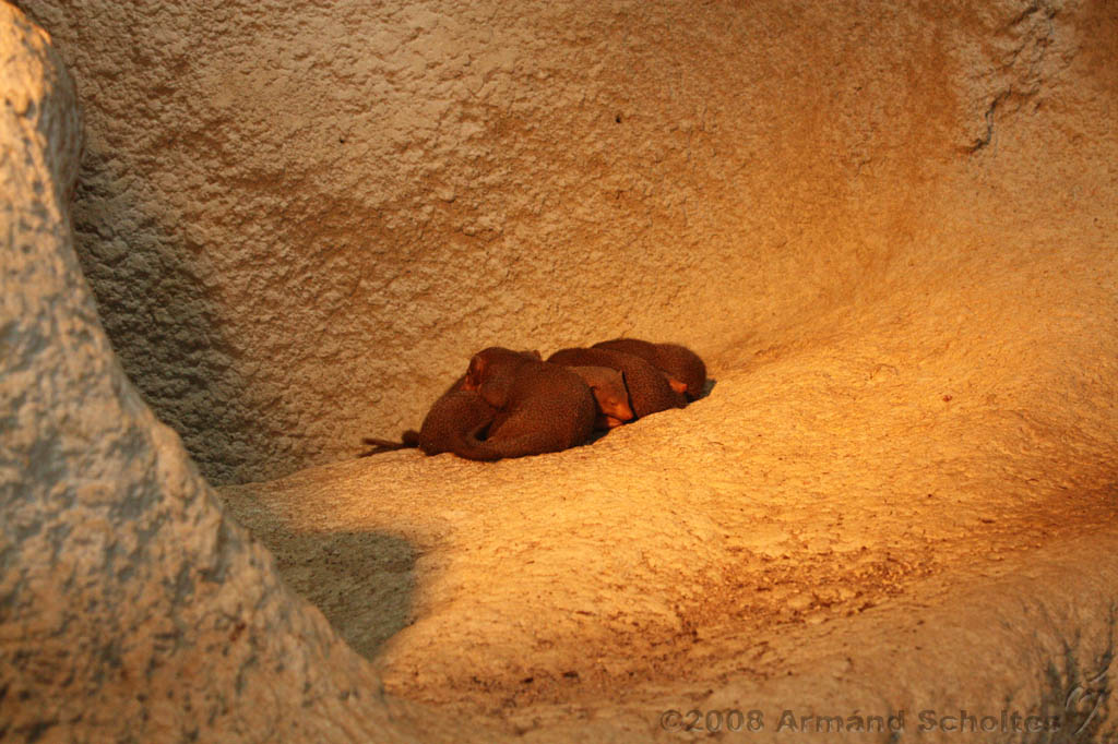 noorderdierenpark_251.jpg