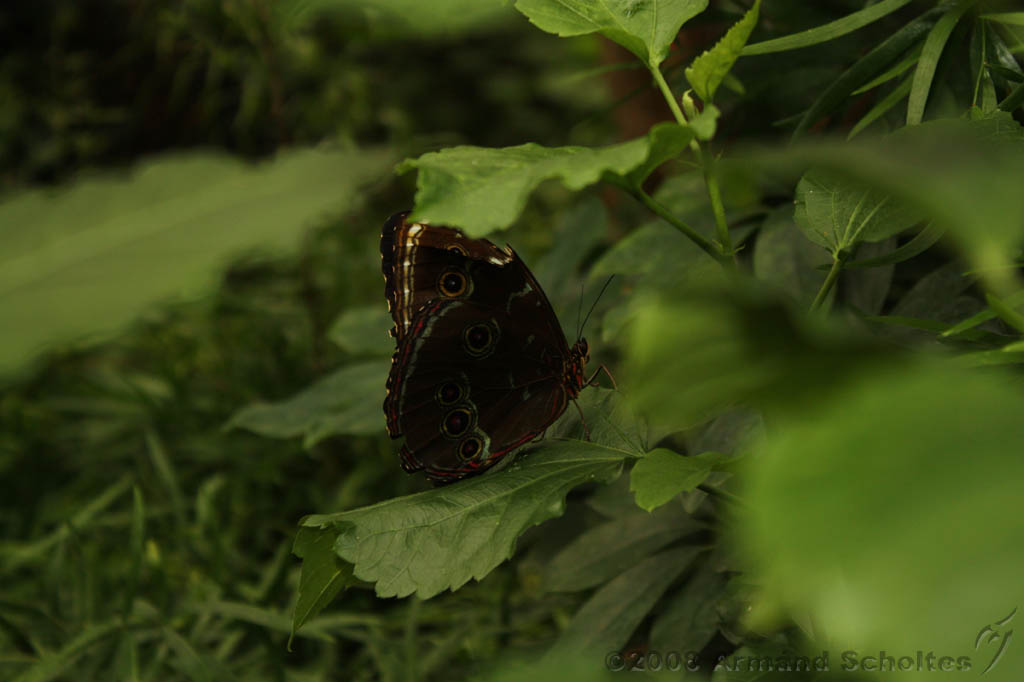 noorderdierenpark_252.jpg