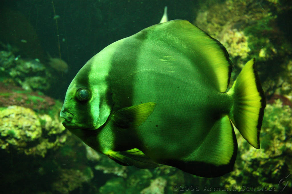 noorderdierenpark_269.jpg