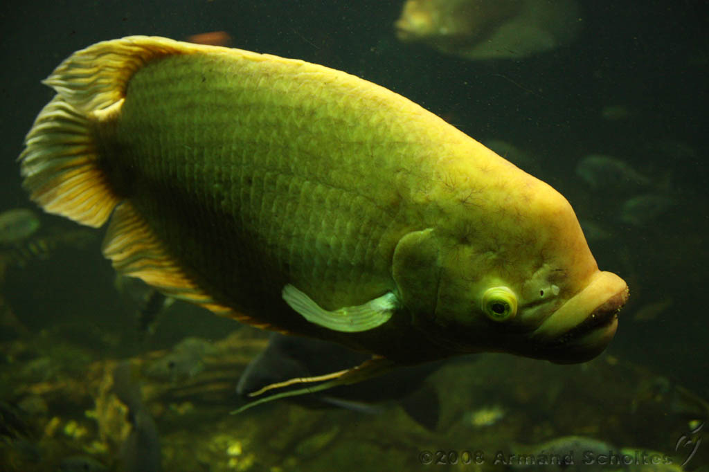 noorderdierenpark_270.jpg