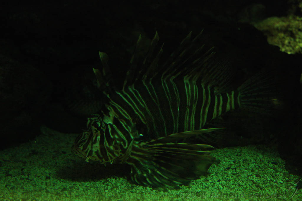 noorderdierenpark_272.jpg