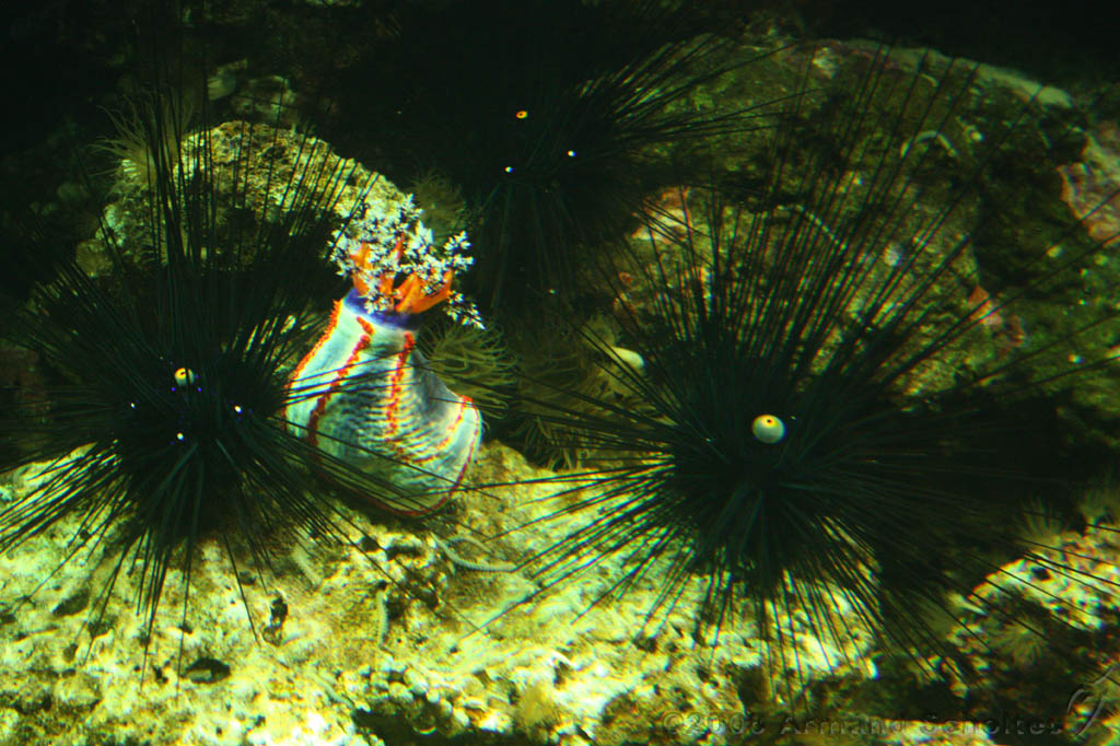 noorderdierenpark_275.jpg