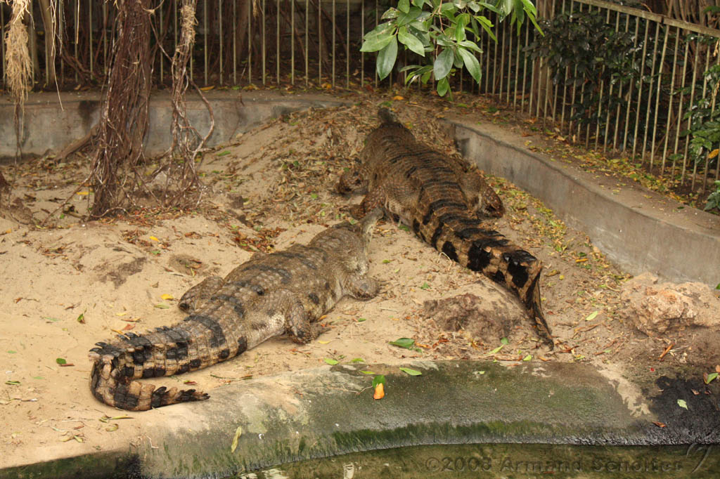 noorderdierenpark_281.jpg