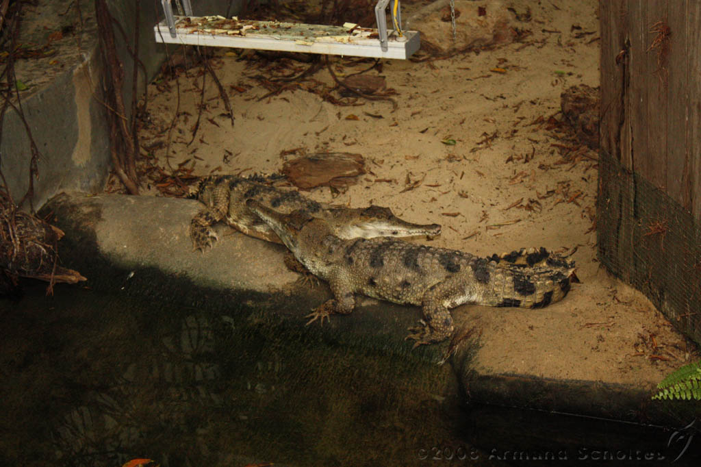 noorderdierenpark_282.jpg