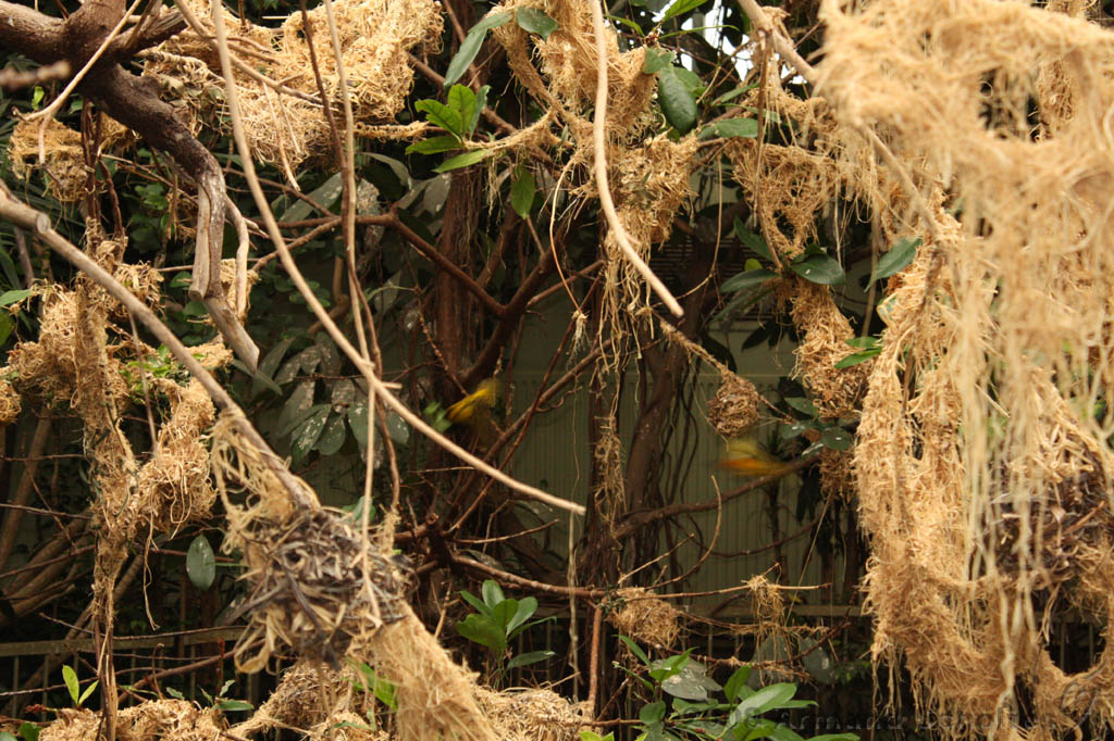 noorderdierenpark_284.jpg