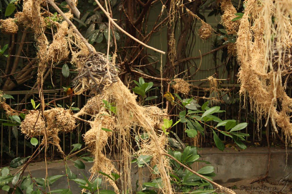 noorderdierenpark_285.jpg